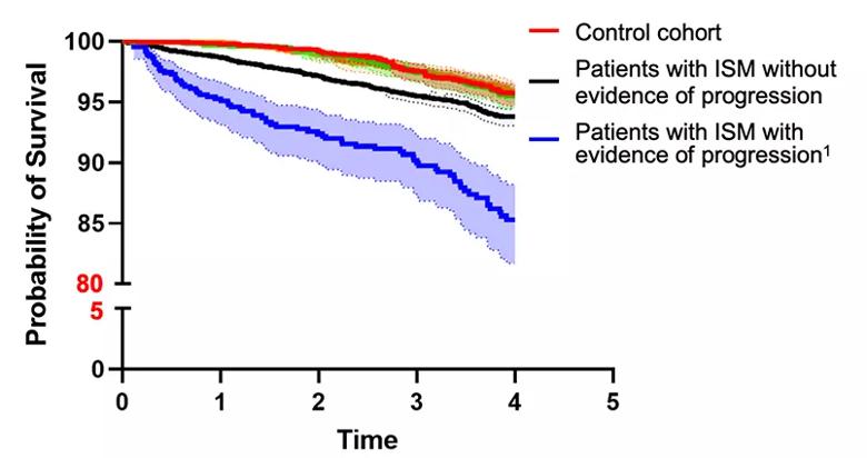 Chart of survival among patients with ISM