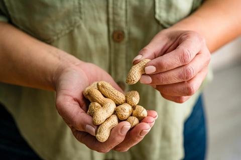 Person holding handful of peanuts in shells