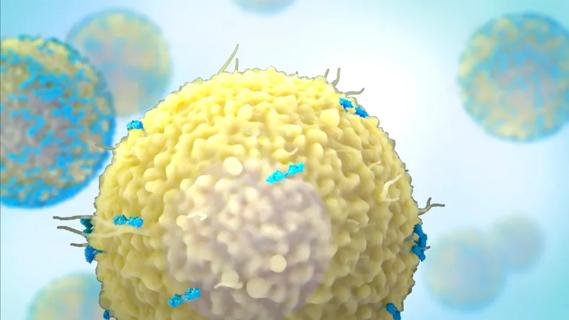 CAR T-cells